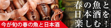 佐野屋　春だ!魚だ!!日本酒だ!!!春の魚と日本酒を楽しむ！　オススメ日本酒