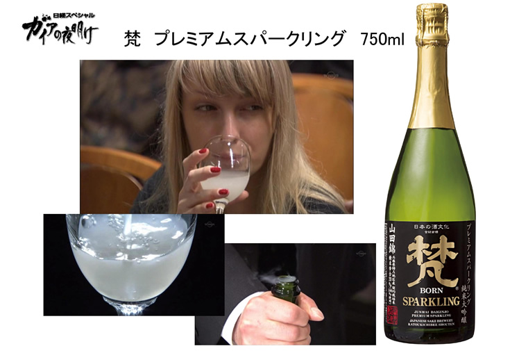梵 ガイアの夜明け