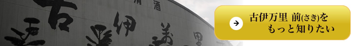 古伊万里 前(こいまり さき)の詳しいご紹介