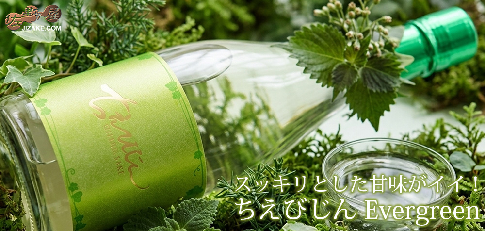 ◇ちえびじん Evergreen