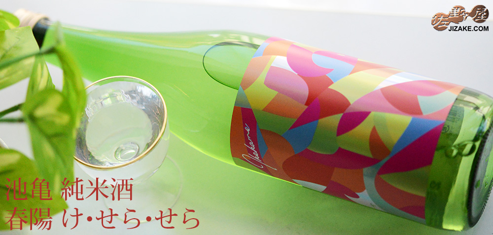 ◇池亀 純米酒 春陽 け・せら・せら 720ml