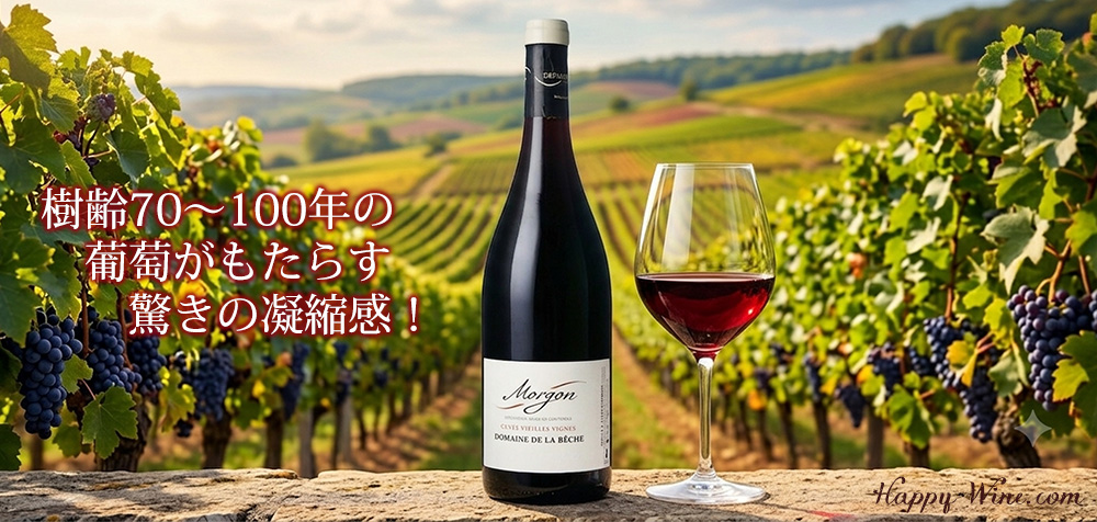 オリヴィエ・デパルドン　モルゴン　キュヴェ・ヴィエイユ・ヴィーニュ　ドメーヌ・ド・ラ・ベッシュ(赤)