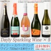 送料無料】デイリー・スパークリングワイン 750ml×5本セット (北海道・沖縄は送料480円注文後に追加)