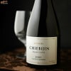 ちえびじん　KITSUKI BLANC CUVEE CHIEBIJIN(キツキ・ブラン・キュベ・チエビジン)　2023　ワイングラスで牡蠣と楽しむ