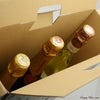  【送料無料】ヨーロッパを旅するスパークリングワイン3本セット　750ml×3本