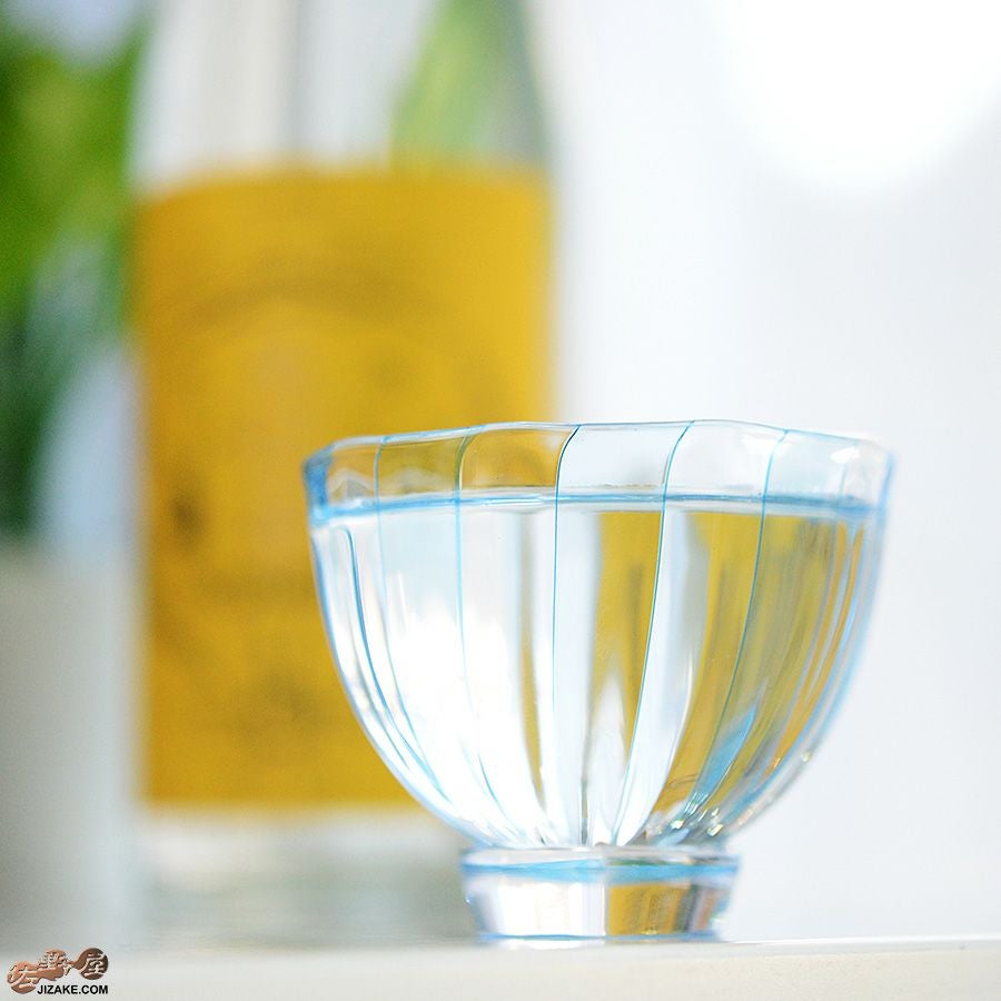 studio iiro スタジオイイロ 大東健太 【箱入】キャンディ　ぐい呑み　水色＆透明