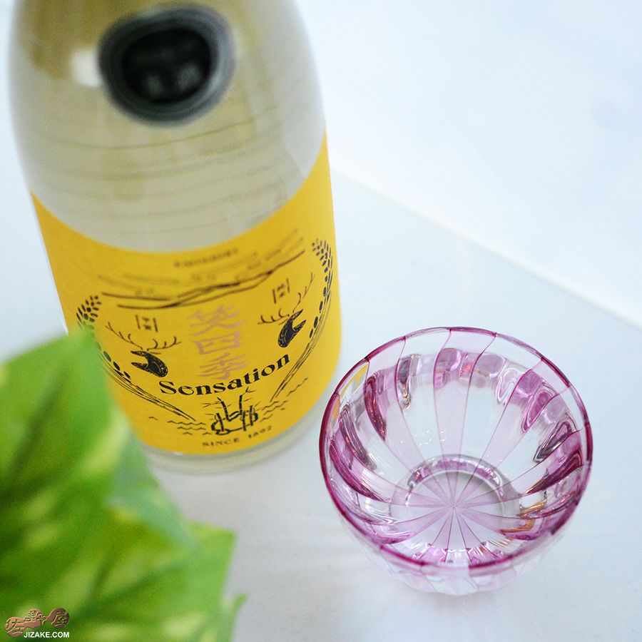 studio iiro スタジオイイロ 大東健太 【箱入】キャンディ　ぐい呑み　ピンク＆透明