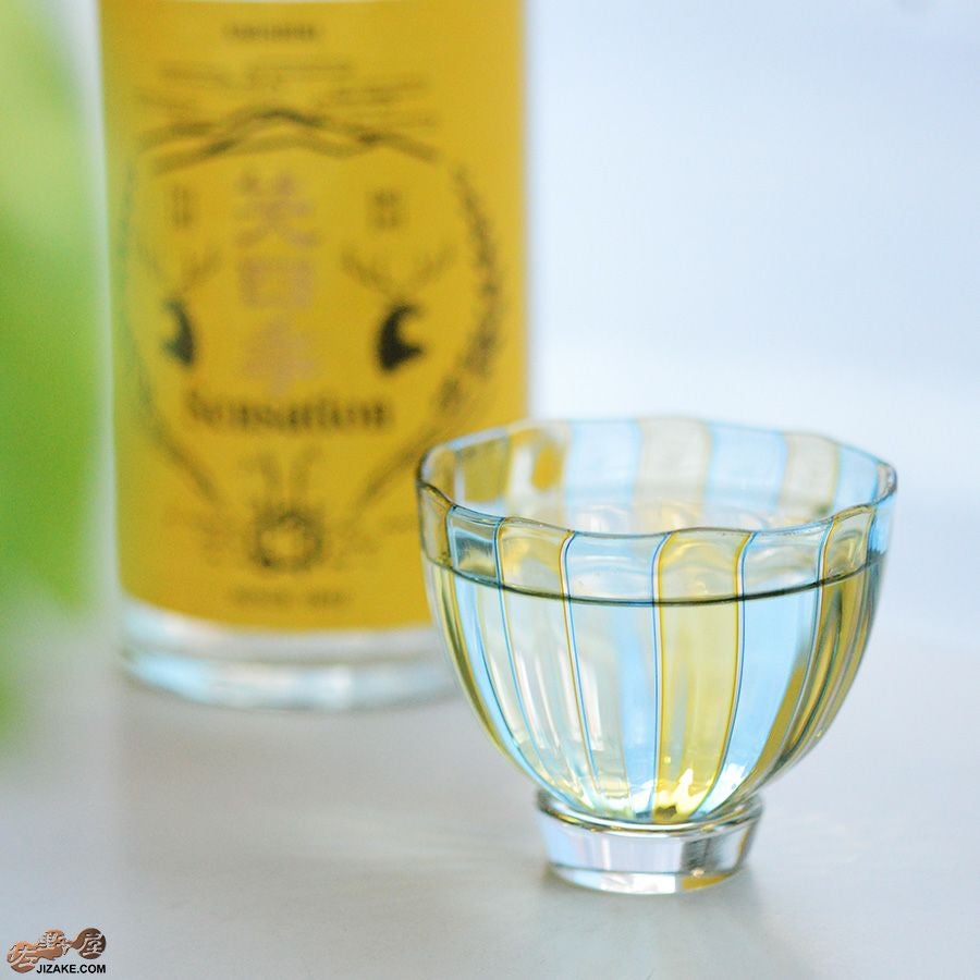 studio iiro スタジオイイロ 大東健太