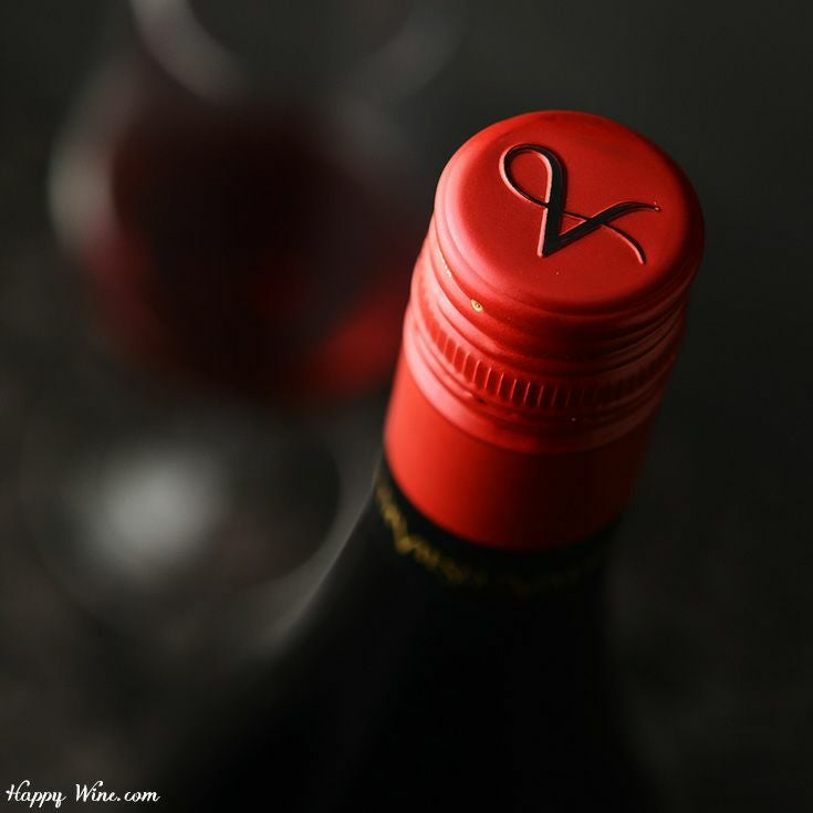 【アウトレット】◎バルディビエソ　シングルヴィンヤード　カウケネス　ピノ・ノワール(赤)(スクリューキャップ)