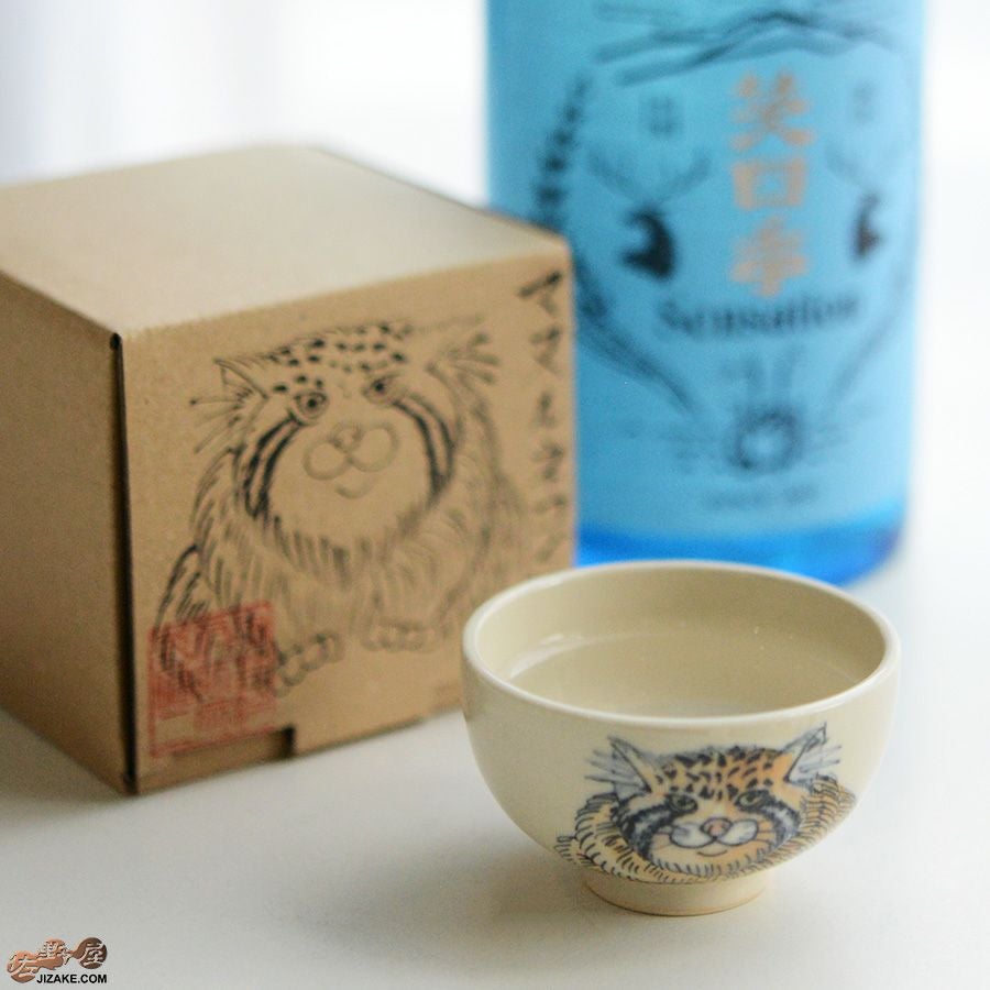 【箱入】永野健二　マヌルネコ　ぐい呑み