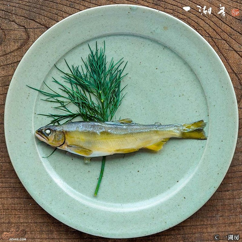 一湖房　あゆのコンフィ　1匹