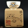 【箱入】永野健二　猫３ ぐい呑み