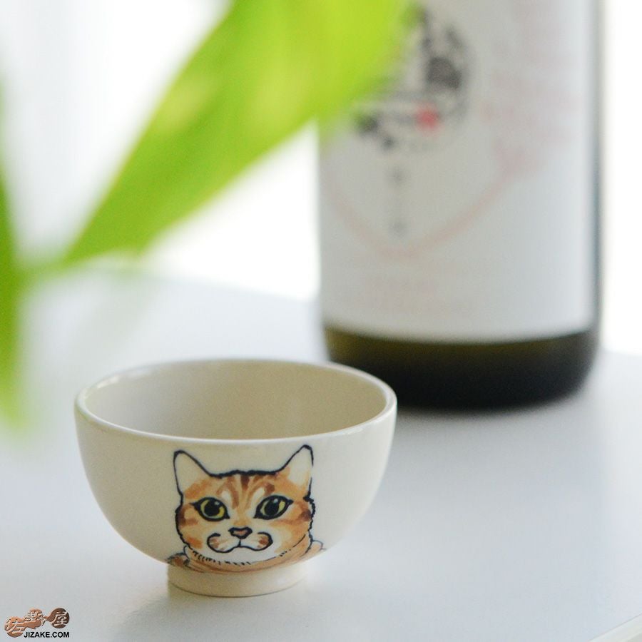 【箱入】永野健二　猫４ ぐい呑み