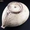 淡海陶芸研究所　錆白泥　片口