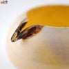 綿舎雄季　curiosity 片口