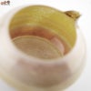 綿舎雄季　curiosity 片口