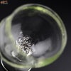 glassimeca　神永朱美　琵琶湖彩　ワイングラス（薄緑）